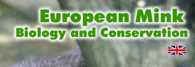 European Mink - Biologu and Conservation